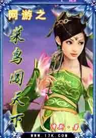 网游之菜鸟逆袭