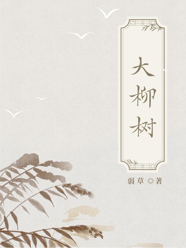 大柳树路2号院属于哪个街道