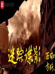 迷踪谍影电视剧