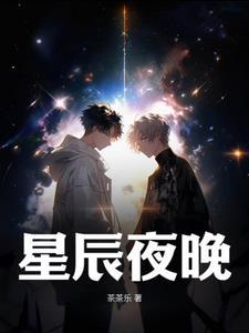 夜星辰什么意思