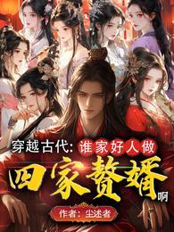 穿越古代谁家好人做四家赘婿啊 尘述者