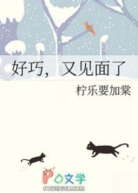 又见面了用英语翻译