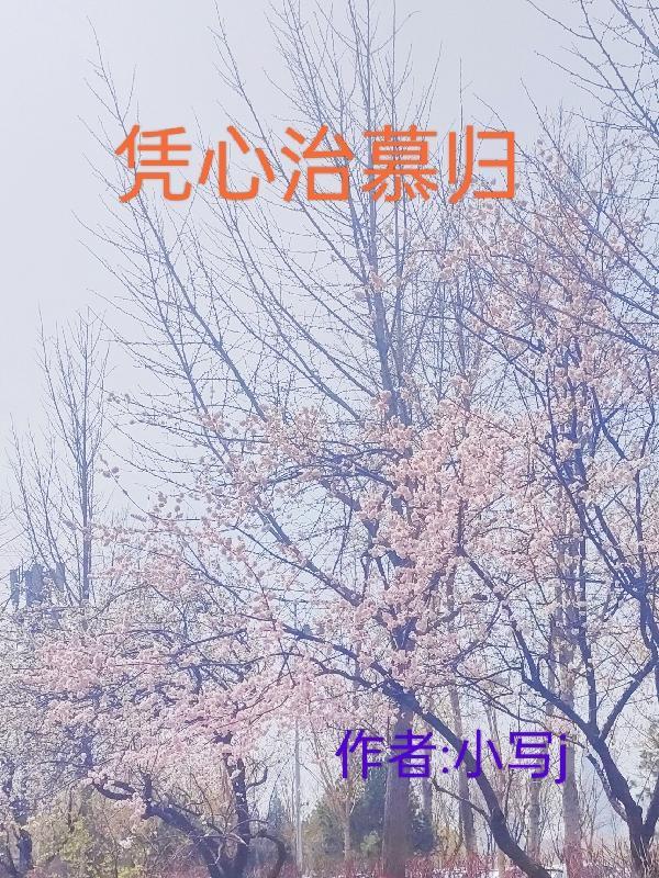 凭心治慕归 小写j