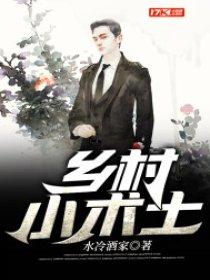 乡村小术士作者水冷酒家