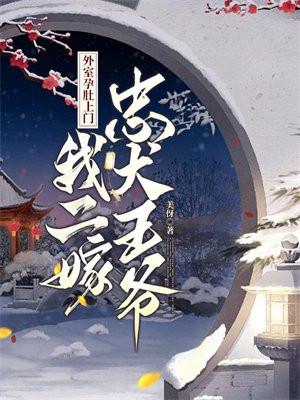 我二嫁忠犬王爷 美伢
