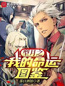 型月之我的命运图鉴|型月之我的命运图鉴