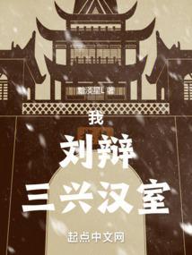 三国我刘辩三兴汉室