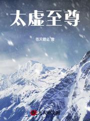 太虚圣祖全文免费阅读