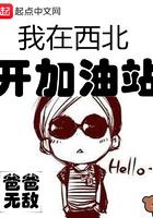 我在西北开加油站免费阅读笔趣阁