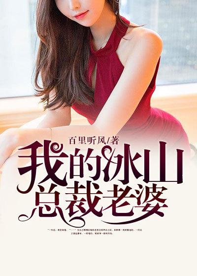 我的冰山总裁老婆免费阅读
