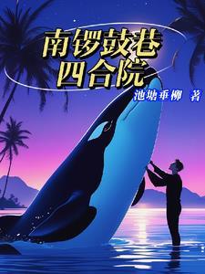 南锣鼓巷四合院邓老三