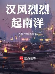 汉风烈烈起南洋 免费