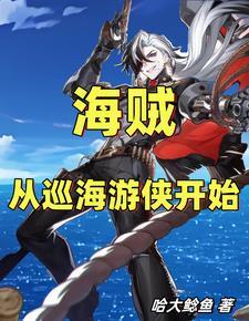 从海贼开始的选择