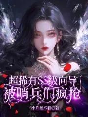 超稀有ss级向导被哨兵疯抢 免费全文阅读