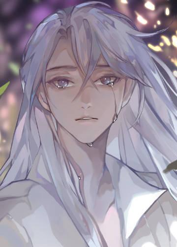 我为什么要洗白作者南极海豹