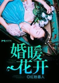 婚暖柔情全文免费阅读无广告