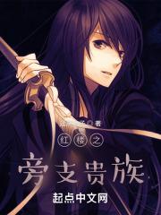 红楼之旁支贵族免费