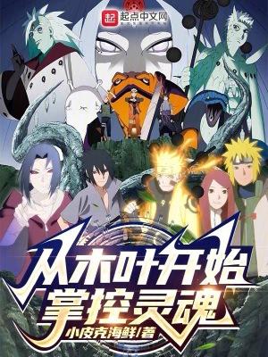 从木叶开始放置成神