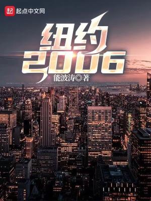 纽约2024年GDP总量