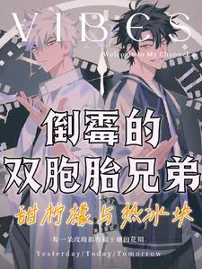 双胞胎兄弟的英语