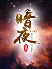 暗夜精灵电脑