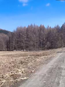 四合院之建国后我是大资本家中李德韵是谁