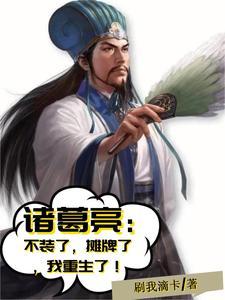 诸葛亮重生一切尽在掌握