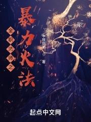 全职法师火系的技能