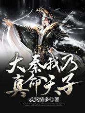 大秦我乃真命天子百度百科