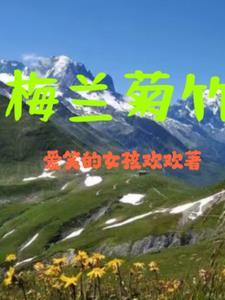 梅兰竹菊是哪四个生肖