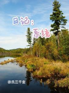 大秦日记系统