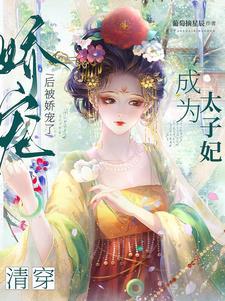 清穿穿成太子