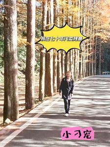 我在70年代看戏