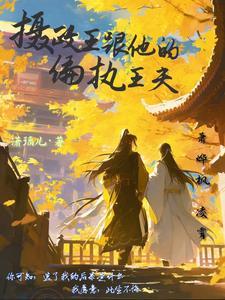 摄政王跟他的偏执王夫txt