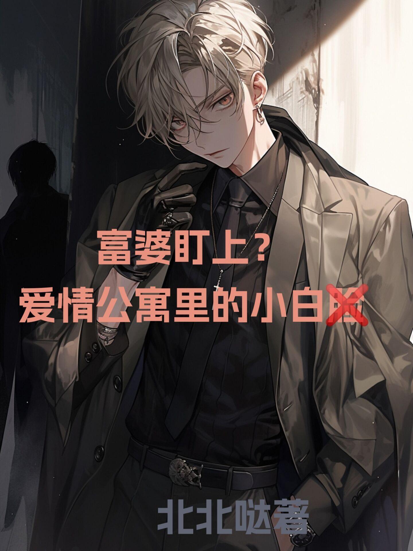 爱情公寓贫民窟的百万富翁