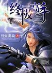 终极高手txt