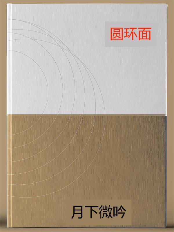 圆环面积的计算公式是Sπ(R-r)平方