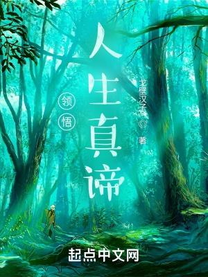 领悟人生真谛把握人生方向的问题