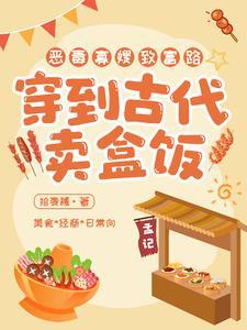 从摆摊卖盒饭开始暴富百度