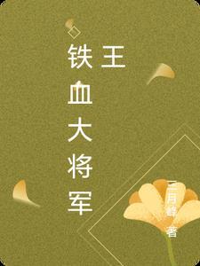 铁血将军最后一集