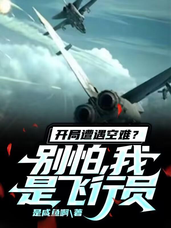 我是飞行员李治TXT