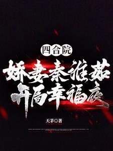 四合院娇妻秦淮茹 开局幸福夜