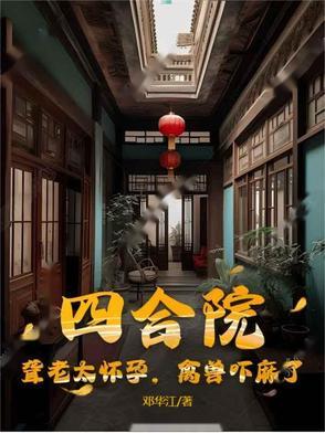 老太太四合院