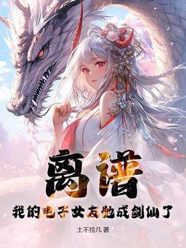 我的电子游戏女朋友