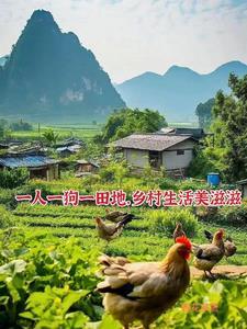 史上最强小神医免费