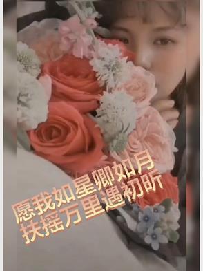 愿我如星君如月h傅清