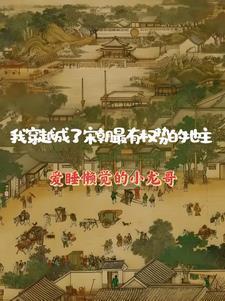 大宋我成了最后一个明君