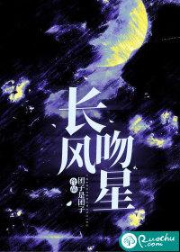 星越L长风版油耗