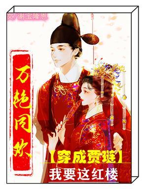 红楼穿越成贾琏