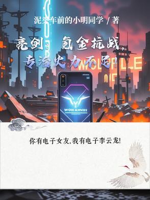 亮剑游戏有无限金条版本吗